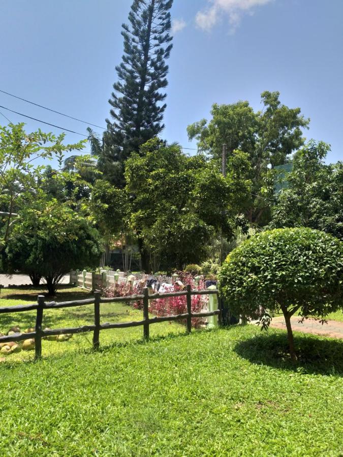 Hotel Tk Green Garden Matara Ngoại thất bức ảnh